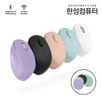 한성컴퓨터 BM100 듀얼 무선 마우스