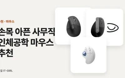 손목 아픈 사무직 인체공학 마우스 추천, 버티컬부터 트랙볼까지 (손저림 잡는 법)